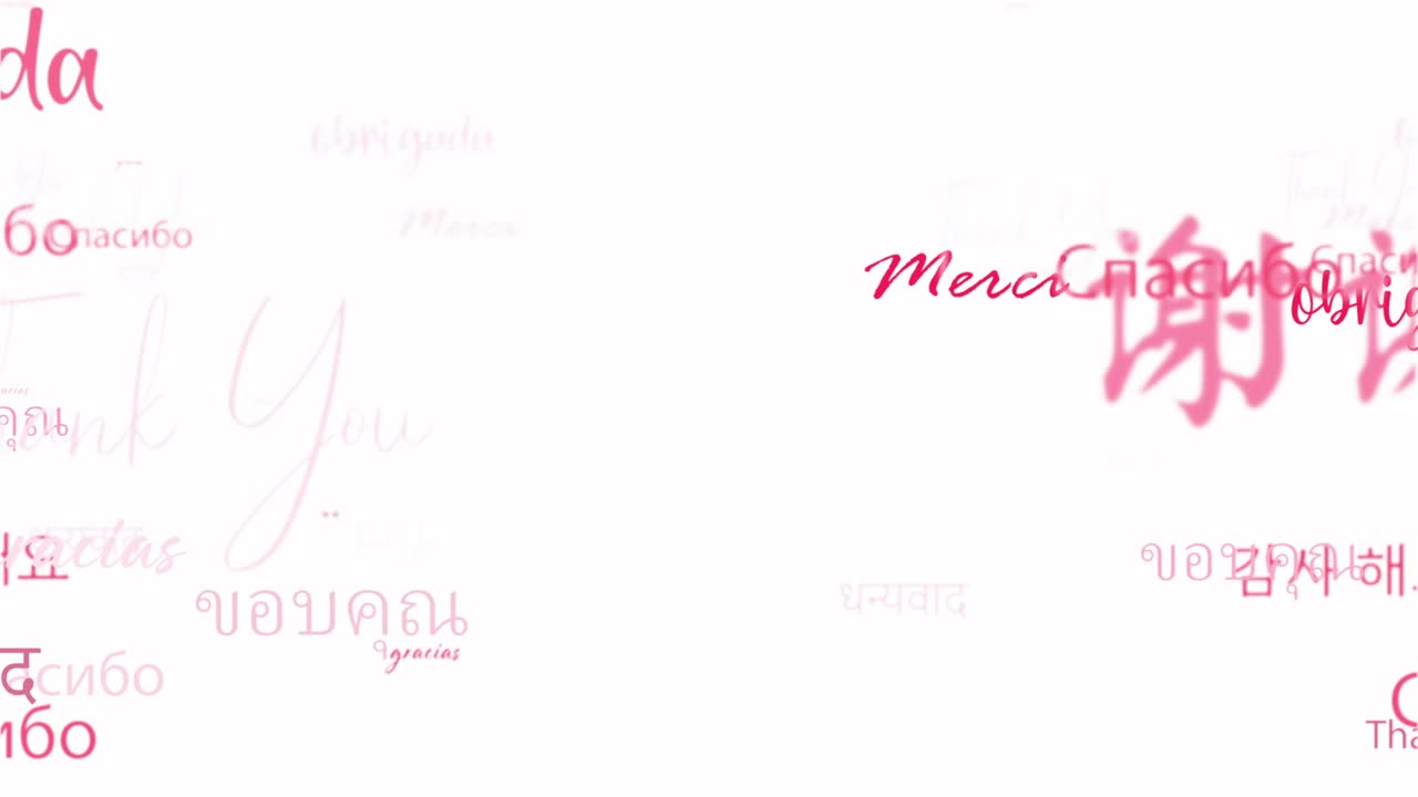 다양한 종류의 언어로 감사하는 애니메이션 루프, 관련 단어, 빨간색, 분홍색, 흐르는 단어, 소개에 대한 요소, 색 배경에 있는 제목 배너