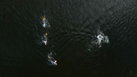 grupo de nadadores profesionales compitiendo en un lago, ojo de pájaro aéreo