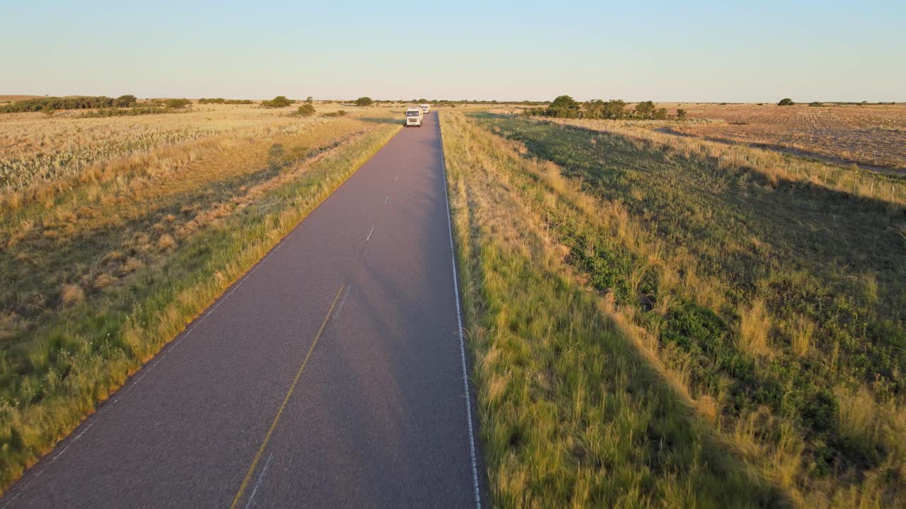 시골의 트럭은 소를 도살장으로 운반합니다 - 쇠고기 산업
