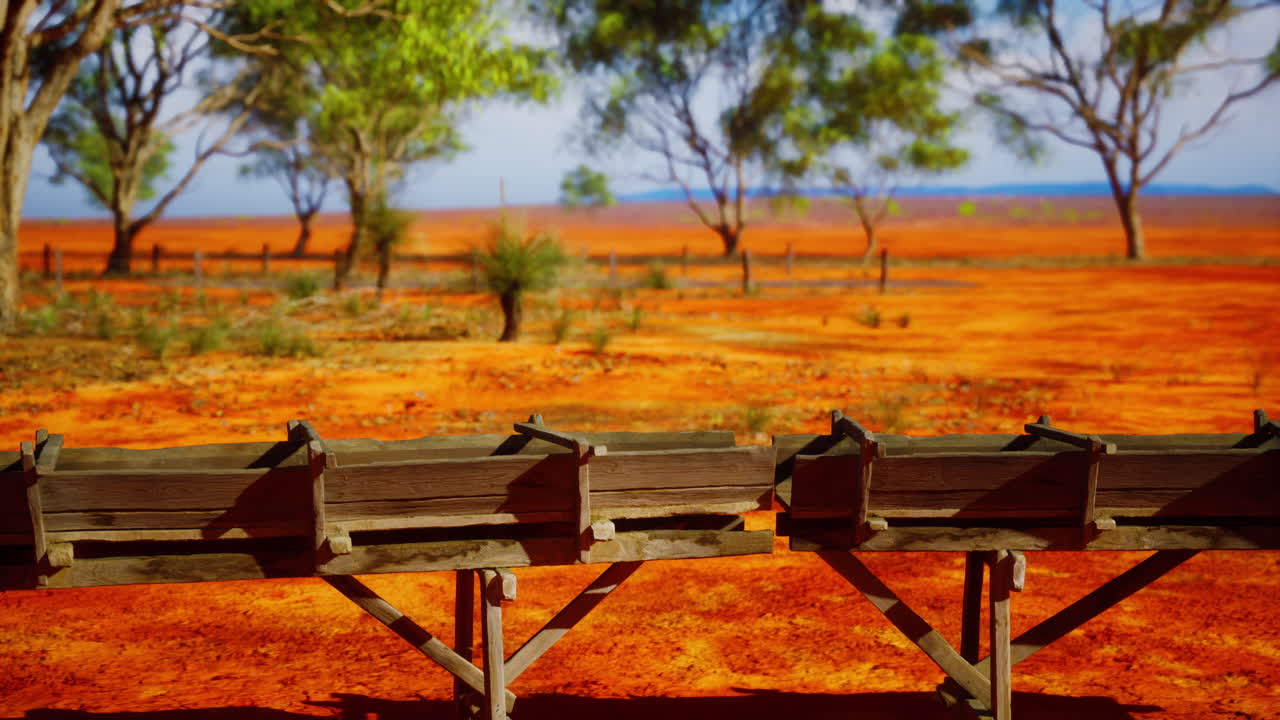 사바나 의 전통적 인 나무 수로