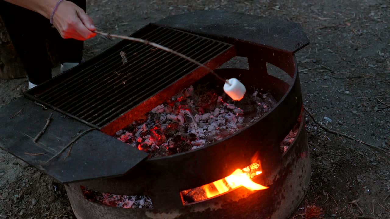 Arrosto di marshmallows su un fuoco da campo