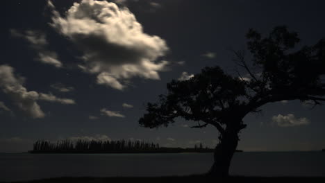 月光照耀的云在松树岛上的树后移动的夜间时间流