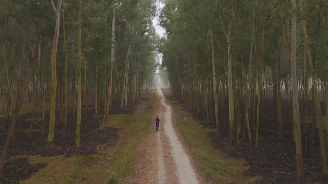 네팔의 테라이 지역의 울창한 숲에서 자전거를 타는 지역 남성의 드론 촬영