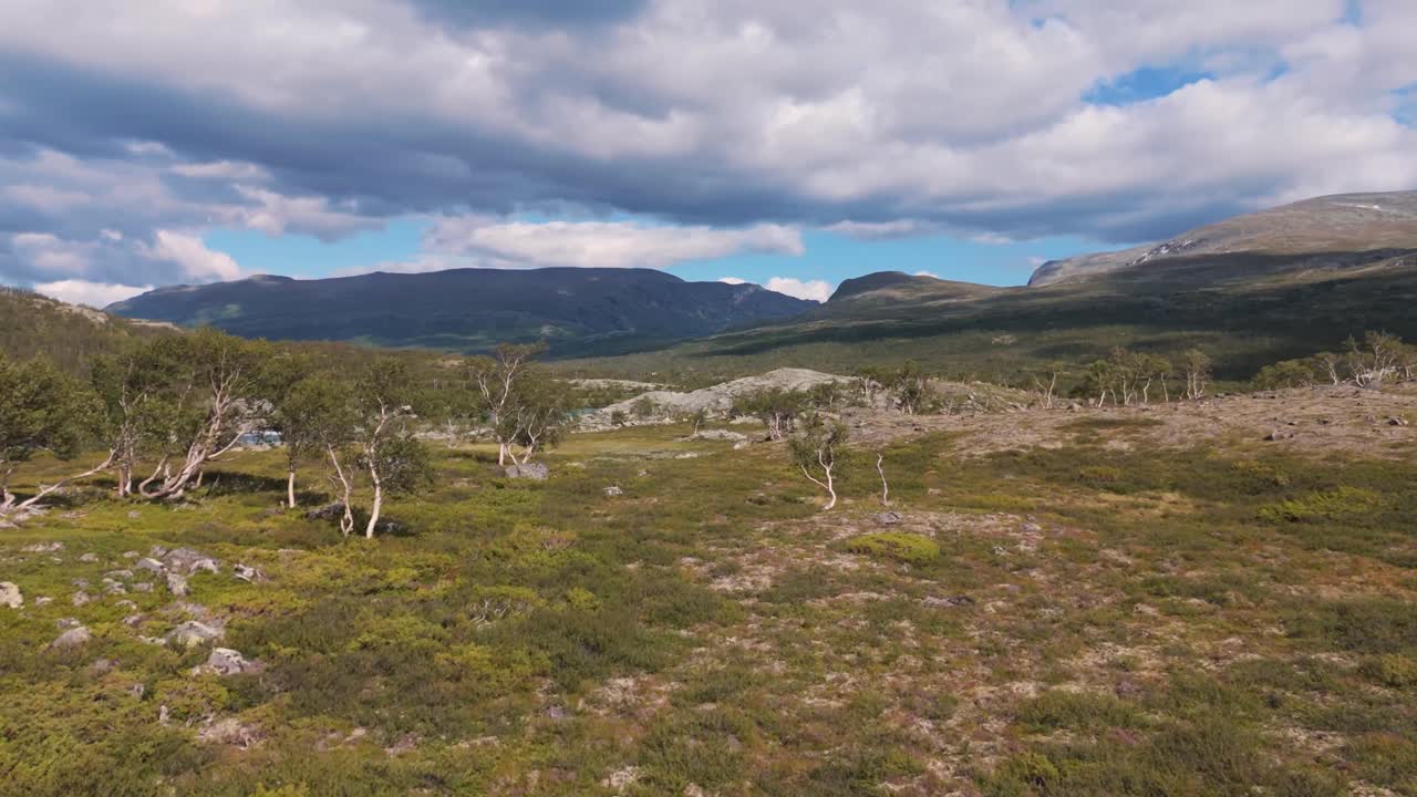 vista aérea de un paisaje sereno con un campo abierto con árboles escasos contra el telón de fondo de majestuosas montañas bajo un cielo nublado, invocando la paz y la tranquilidad en la naturaleza