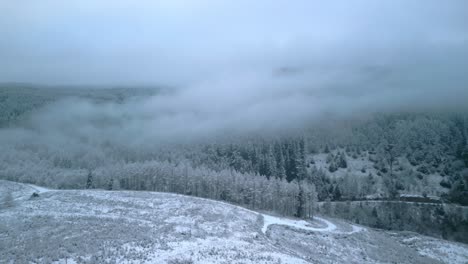 Cloud-shrouded-forest-hillside-with-flight-over-winter-scrubland