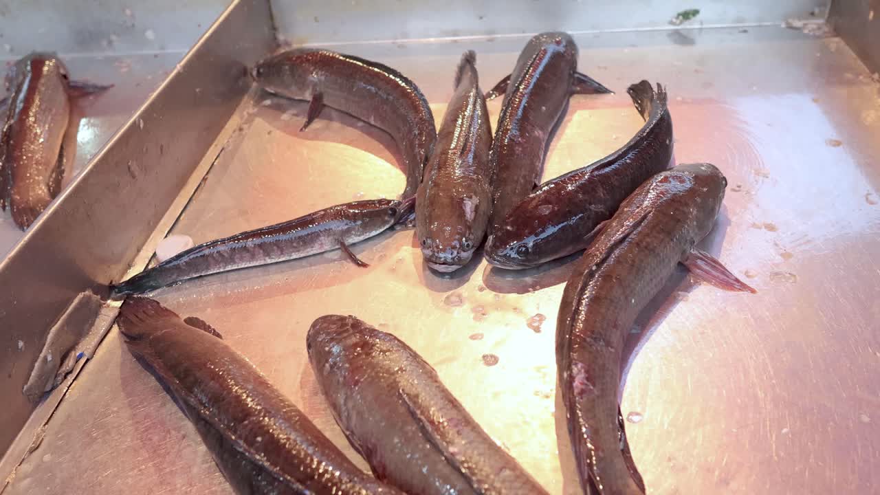 Cooking slugs on a grill, turning brown