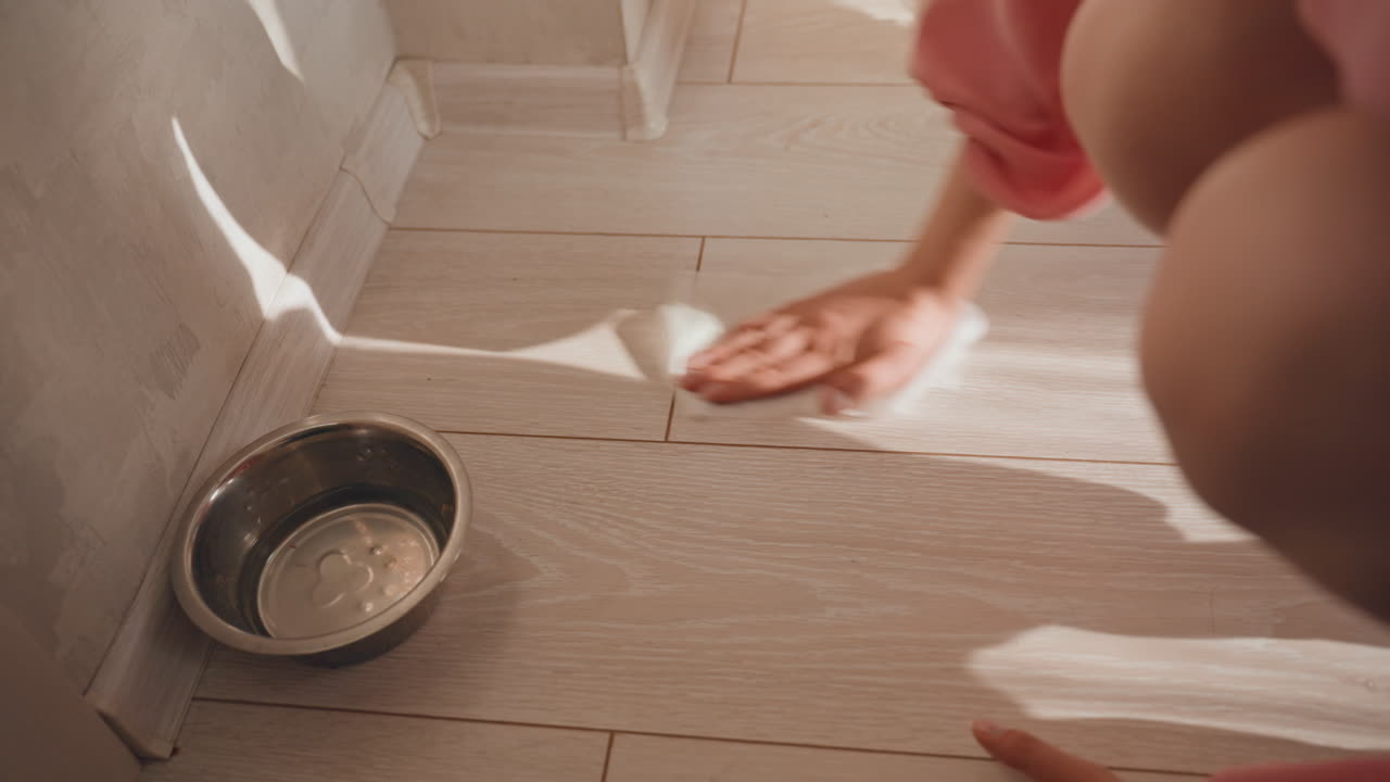 Quick Home Cleaning Routine, Wiping Tiles Near Pet Dish After Eating, Gentle Cleaning Of Tiles Around Pet Bowls Postmeal, Performing Swift And Careful Cleaning Of Tiled Surfaces After Feeding Pets