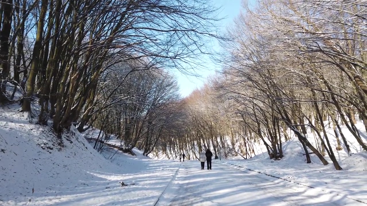 Vinterpark. Sne og sol
