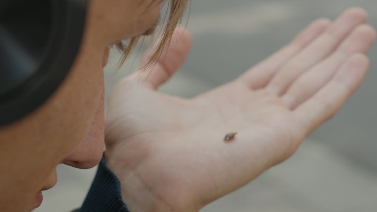 Uomo caucasico con le cuffie che osserva un coleottero sul palmo della mano, sfondo di marciapiede urbano, messa a fuoco ravvicinata sull'insetto e sulla texture della pelle, leggera curiosità da parte di un pendolare in pausa, luce naturale soffusa, profondità di campo ridotta