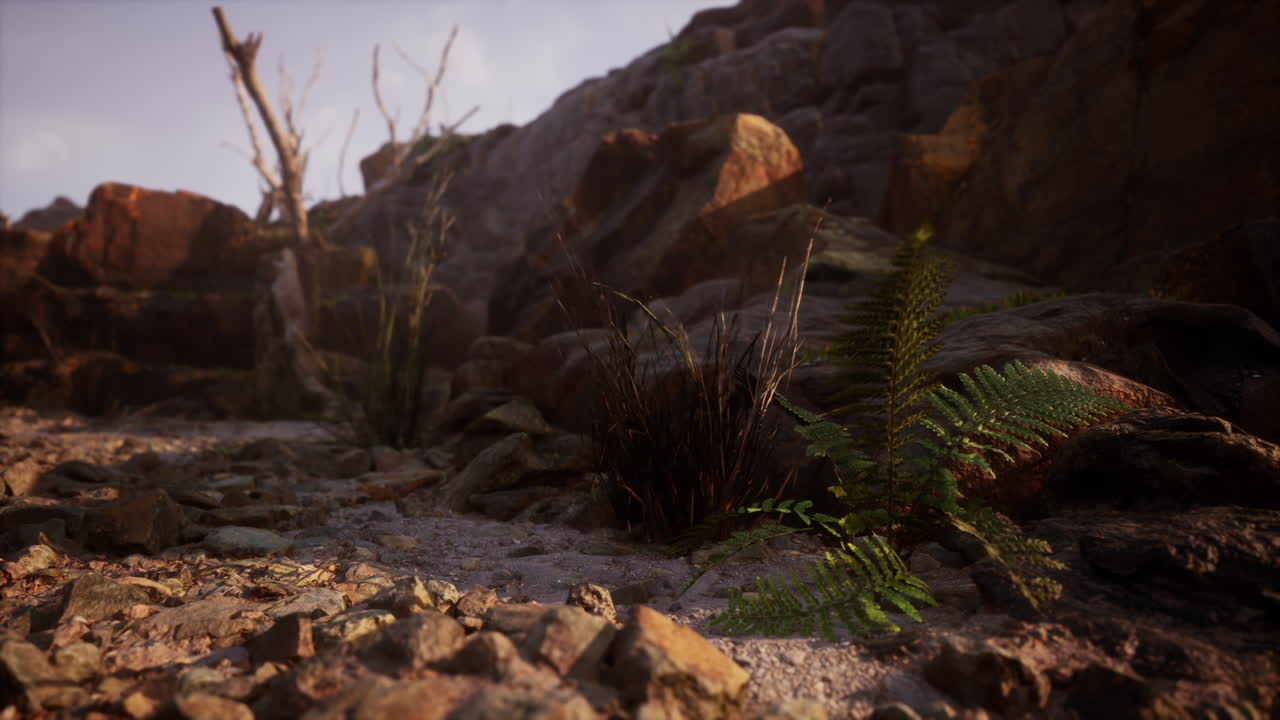 건조한 죽은 나무 가지와 산꼭대기