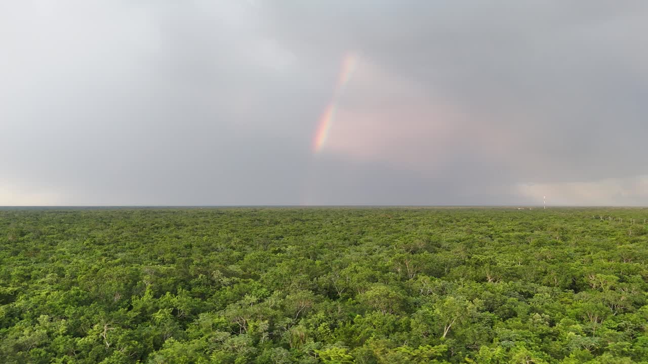 Beautiful rainbow over the Yucatan jungle