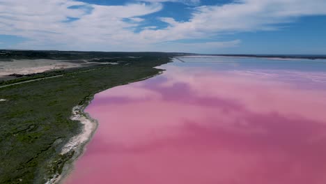 Vista-Aérea-Panorámica-Del-Paisaje-Escénico-Del-Lago-Rosa-De-La-Laguna-Hutt,-Lago-Salado-Marino-De-La-Laguna-Hutt-En-La-Costa-De-Coral-Cerca-De-Port-Gregory,-Australia