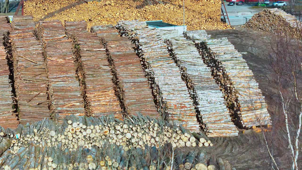 Massive log stacks in lumberyard with industrial wood piles sorted by type – ground-level view