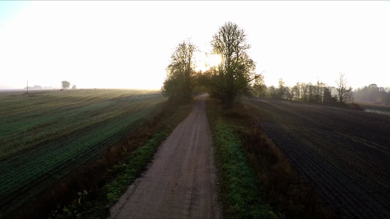 el camino de grava y los rayos del sol detrás de los árboles en la mañana de otoño