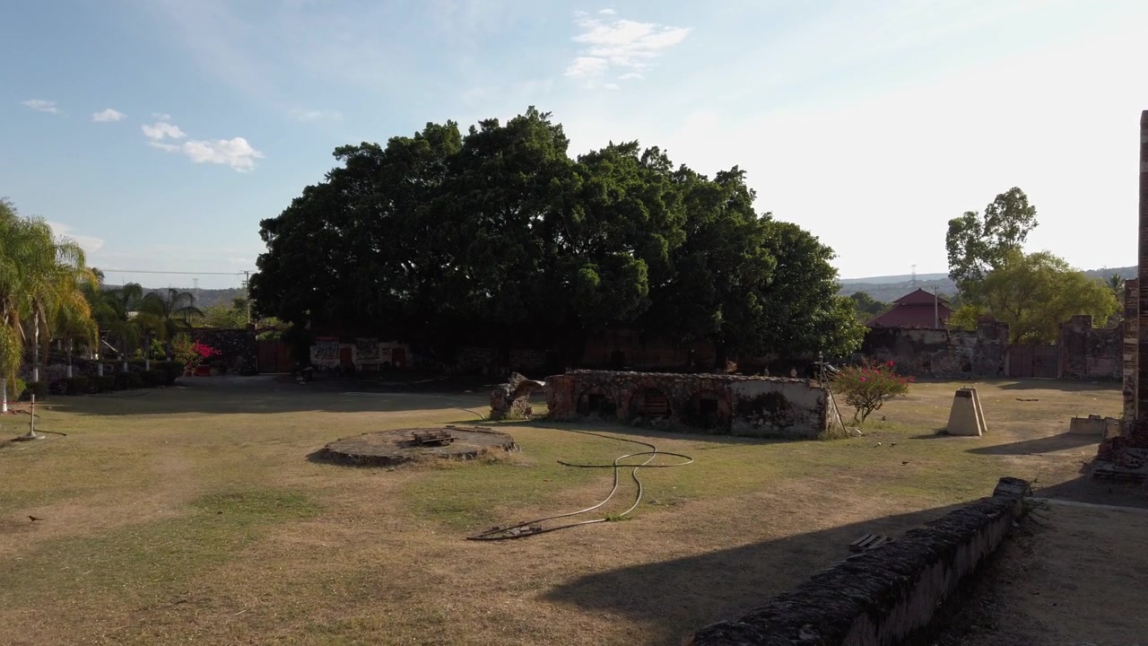 Cortile di hacienda storica con un grande albero ombroso, ampi spazi e architettura tradizionale a Coahuixtla, Messico. Ambiente esterno tranquillo con un'atmosfera di patrimonio rustico.