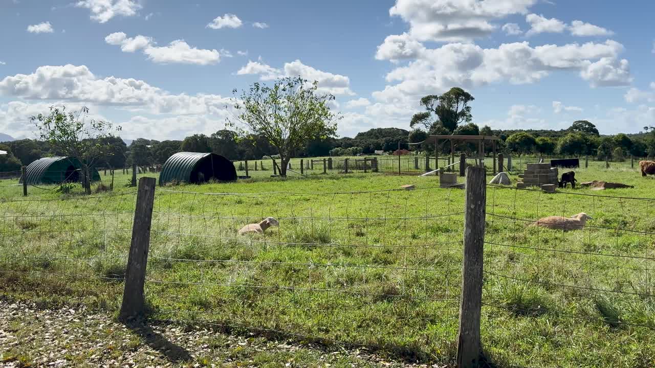 A dirt path runs alongside a sheep pasture on a sunny day, with people approaching in the distance and lush green fields under blue skies