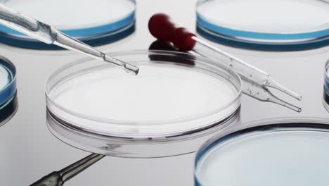 video of close up of laboratory pipettes and glass dishes with copy space on white background