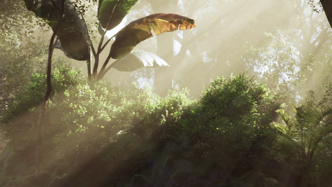 la luz del sol filtrándose a través de los árboles iluminando la vegetación exuberante en un bosque