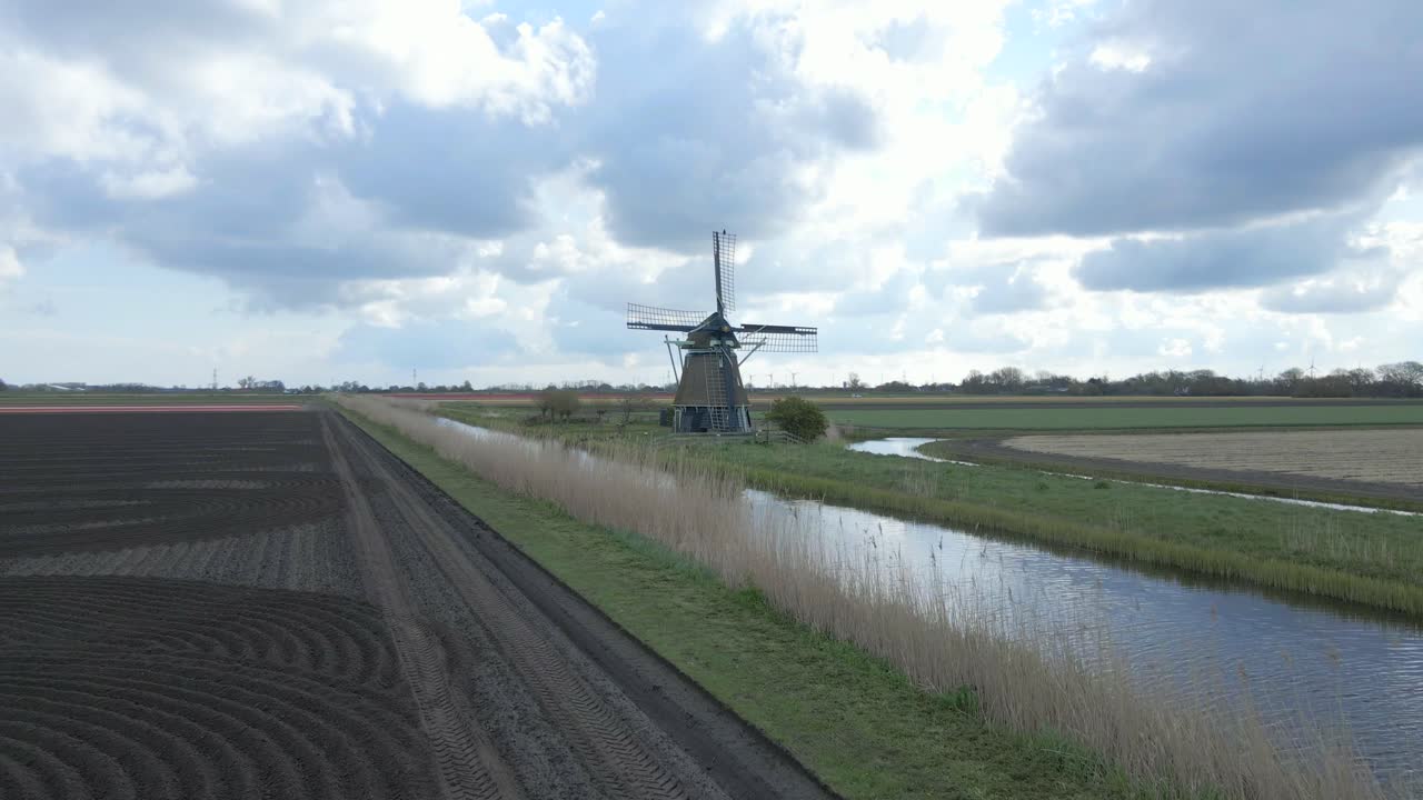 Vista aerea con drone di campi di tulipani e un antico mulino a vento olandese, Keukenhof, Paesi Bassi