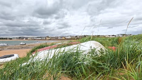 grass waving near boats on a cloudy shore