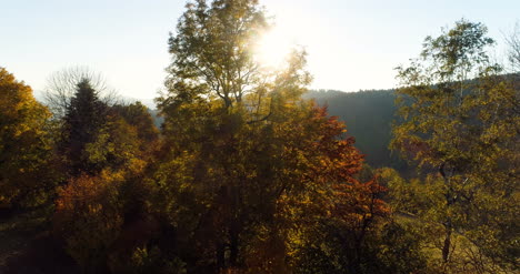 Vista-Aérea-Amanecer-Atardecer-Sobre-Bosque-2