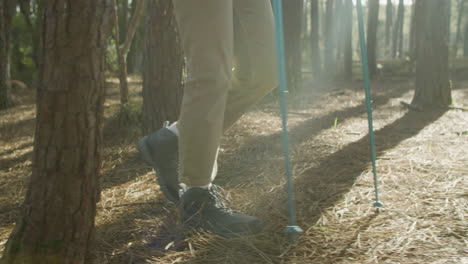 Nahaufnahme-Einer-Frau,-Die-Im-Wald-Wandert