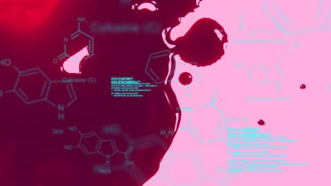 Animation-of-chemical-formulas-and-data-processing-over-human-blood-on-pink-background