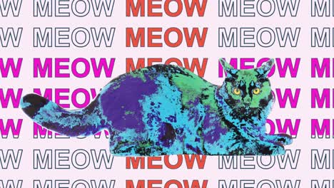 funny fluffy black cat with bright yellow eyes and kinetic typography animation. abstract graphics in trendy colors and style