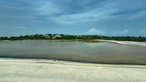 Two-flamingos-flying-over-lake-shallow-water-surface