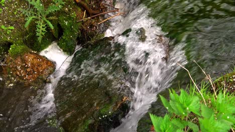 small waterfall in the forest 02