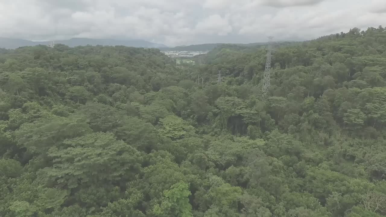 The Subic Forest offers a breathtaking aerial view, showcasing lush greenery, winding trails, and tranquil landscapes, creating a serene escape amidst nature's beauty in the Philippines.