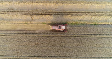 Mähdrescher,-Der-Landwirtschaftliches-Weizenfeld-Erntet-5