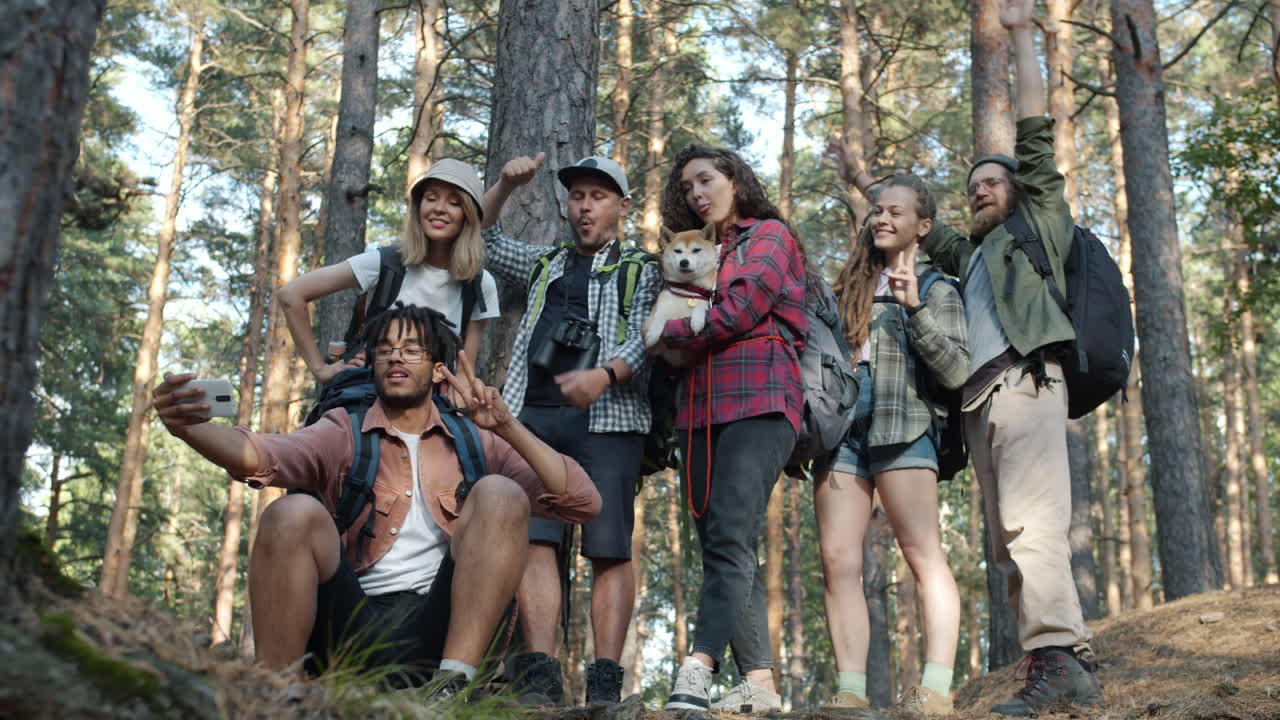 Friends Hiking in a Pine Forest