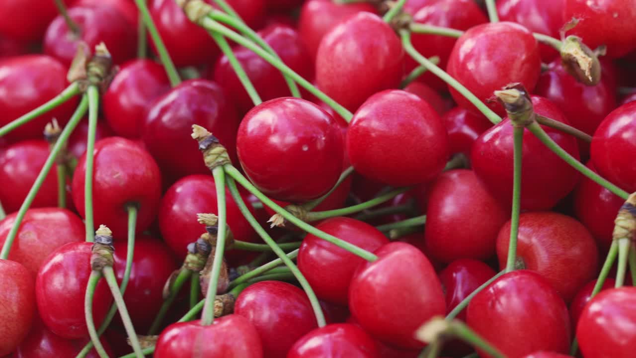 Fresh juicy red cherry berry rotate. Ripe freshly-picked cherries. Healthy vegetarian food.