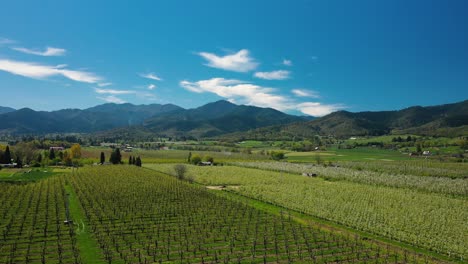 Aerial-view-of-valley-filled-with-fruit-orchards,-Southern-Oregon