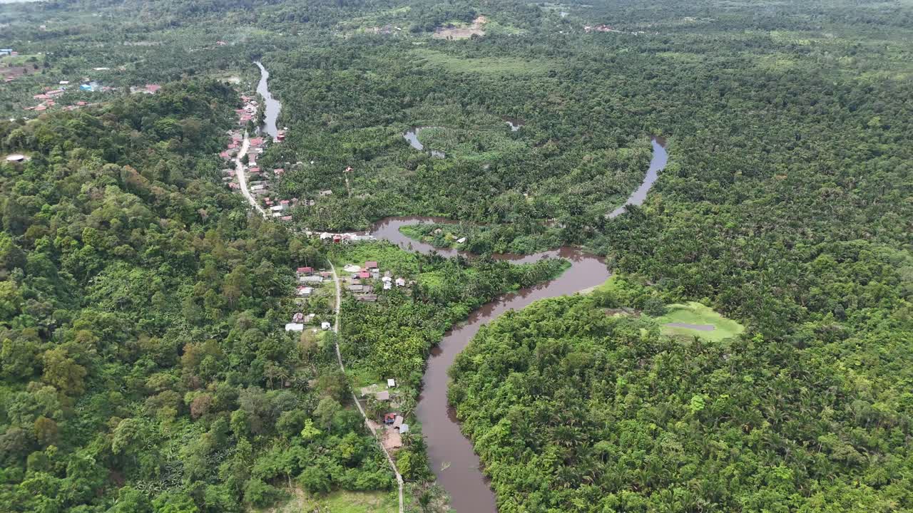Drone aerial view of trees tropical rainforest jungle west sumatra Mentawai Islands Regency indonesia