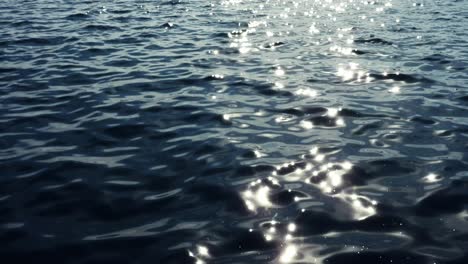 sunlight reflected on water surface. static, high angle