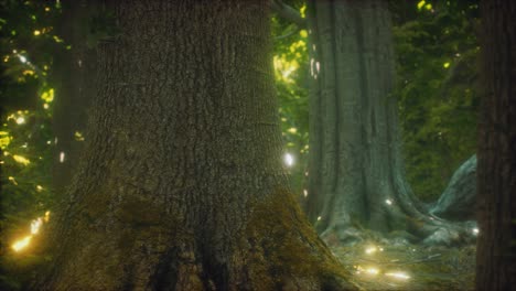 The primeval forest with mossed ground