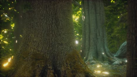 the primeval forest with mossed ground