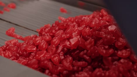 red vitamin-rich gummy production in factory for nutraceutical industry