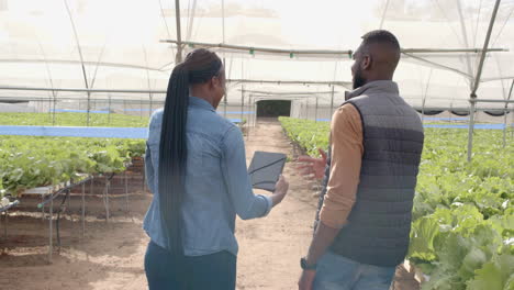 walking through hydroponic farm, two african american farmers discussing crop growth and using table