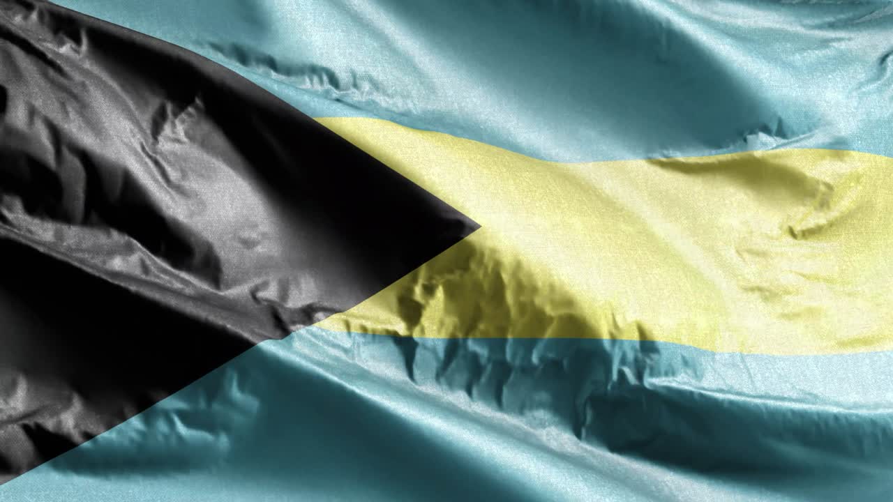 바하마 섬유 발은 바람의 에서 흔들리고 바하마 발이 바람에 흔들리고 섬유 섬유 조직은 완전히 채우는 배경 10 초