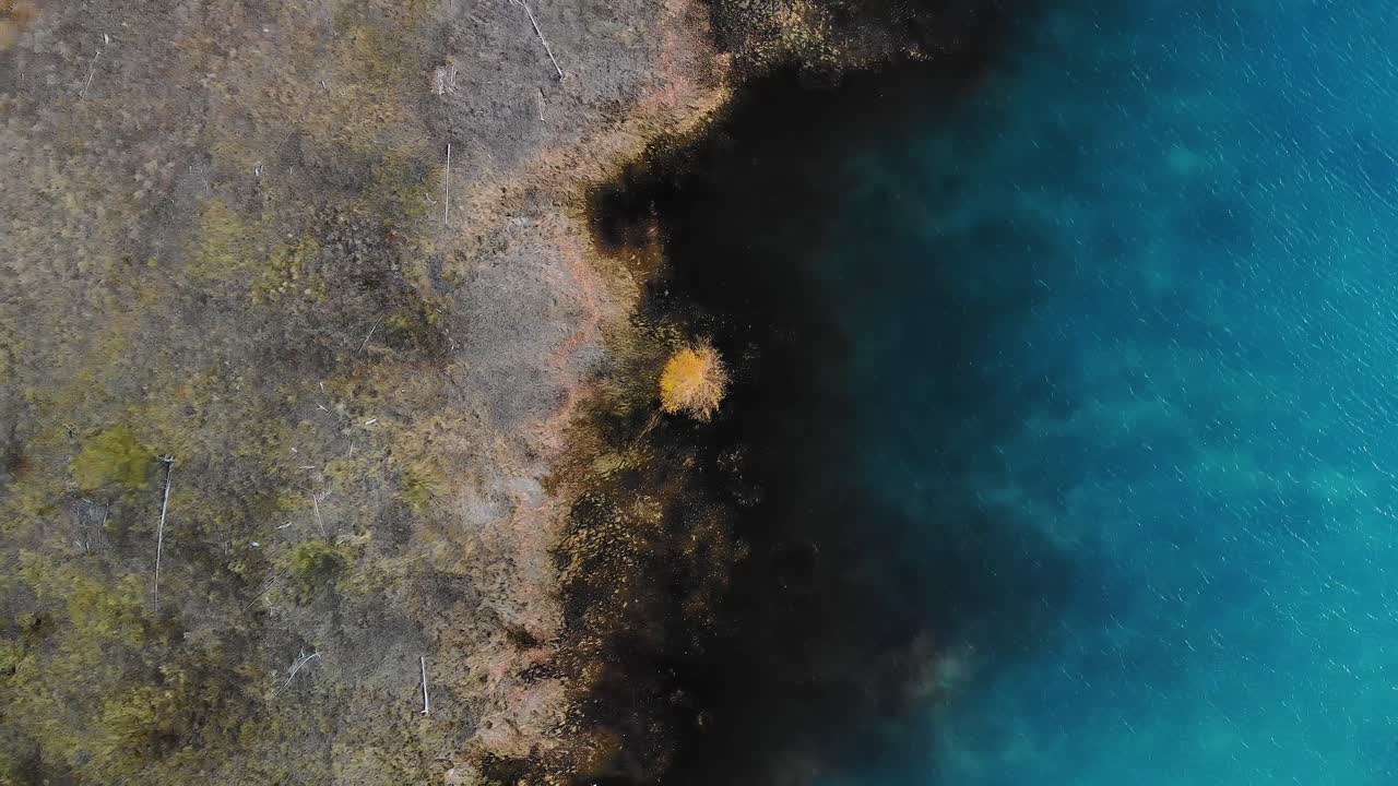 Lenta ascesa del drone che rivela la riva di un lago dalle acque cristalline color turchese a Nordegg