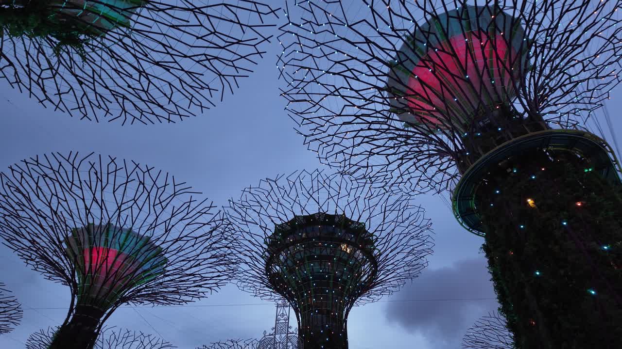 Spettacolo di luci serale Christmas Wonderland al Boschetto dei Superalberi dei Gardens by the Bay, Singapore.