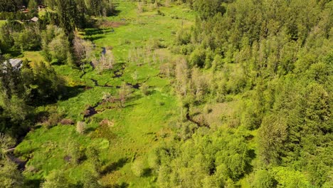 Gorgeous-orbital-aerial-of-creeks-in-wetlands-and-landscapes-of-Snohomish-Washington-State