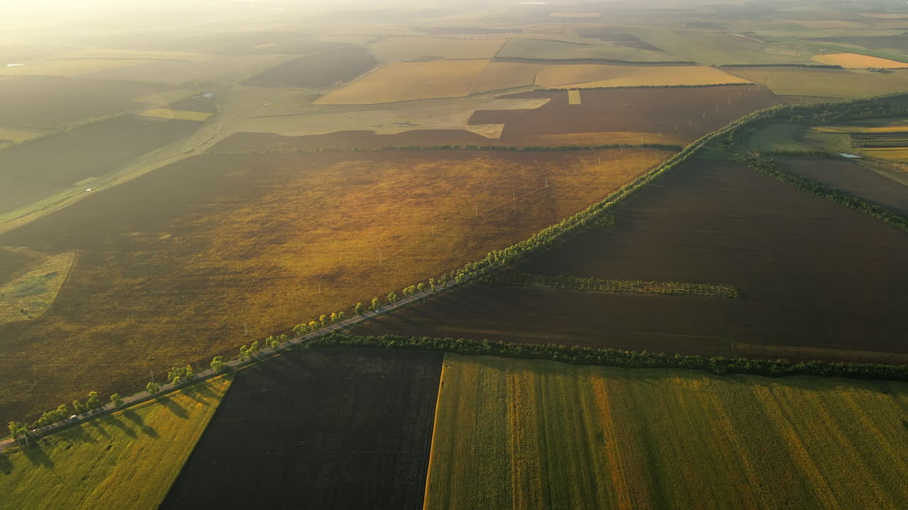 Aerial drone view of nature in Moldova at sunset. Wide fields, road with trees