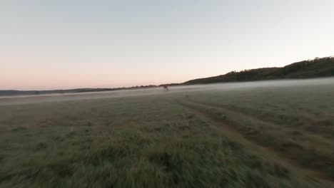 aerial drone footage flies low over misty wetlands near hungary's lake balaton