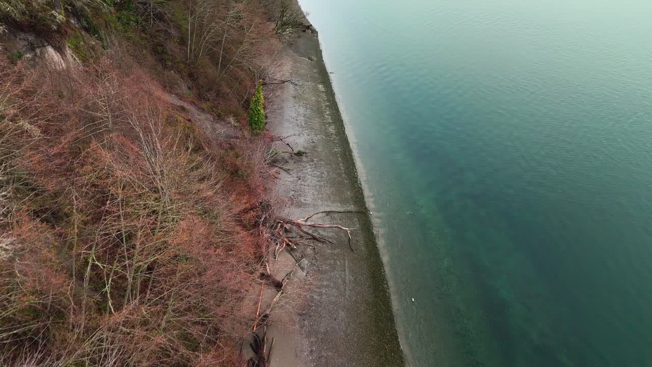 retrospectiva de drones de aguas azules tranquilas y copas de árboles en la orilla de la bahía de wollochet en gig harbor, estado de washington