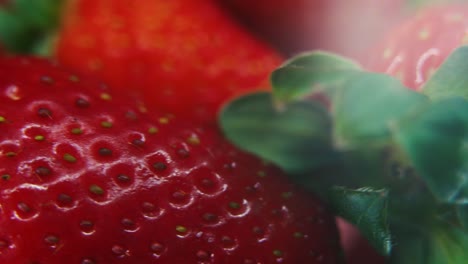 macro detailed video of a pile of strawberries, giant red strawberry, green fruit, tiny seeds, on a rotating reflection stand, smooth movement