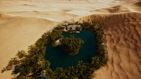 top-down-aerial-view-of-oasis-in-desert